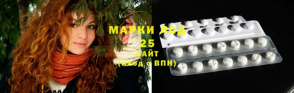МДПВ Богородск
