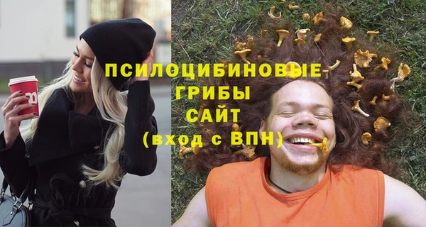 амфетамин Богданович