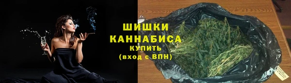 МДПВ Богородск