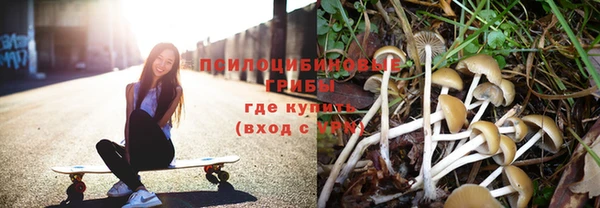 бошки Богородицк