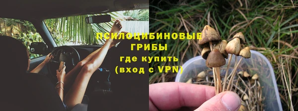 бошки Богородицк