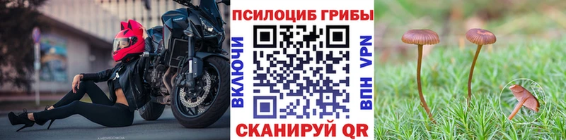 Псилоцибиновые грибы прущие грибы Нефтеюганск